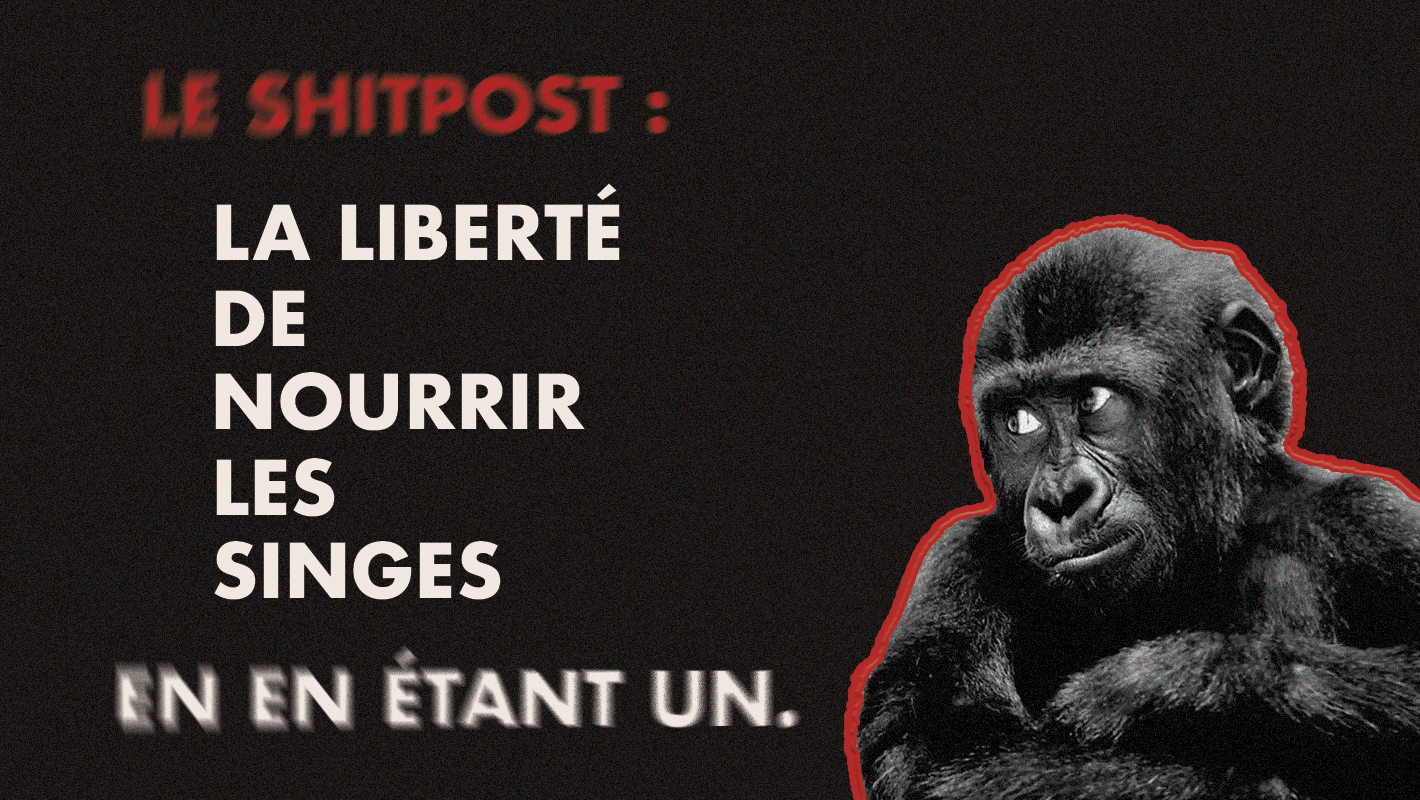 Shitpost : une safe place culturelle