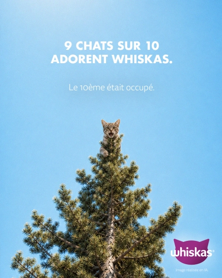 {{affiche_campagne_whiskas_chat}}