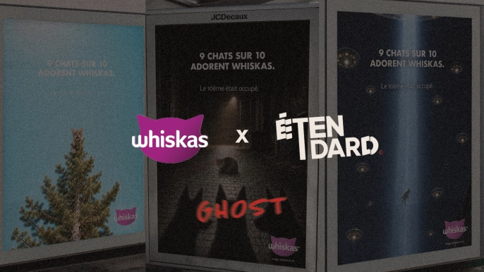 WHISKAS x Étendard : le 10ème chat